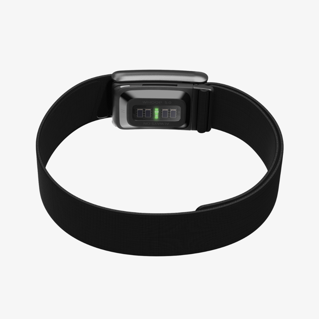 Bicep Band - Jet Black - Image 3